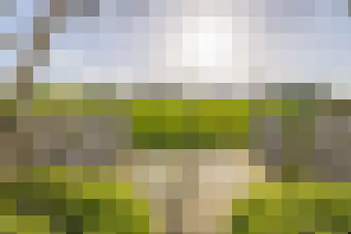 Chopinstraat 7 Lisse thumbnail 45