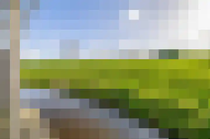 Chopinstraat 7 Lisse thumbnail 46
