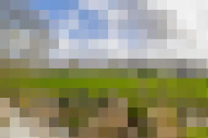 Chopinstraat 7 Lisse thumbnail 47