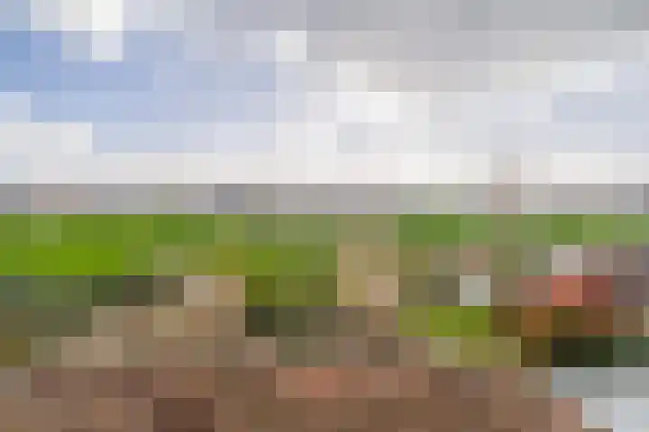 Chopinstraat 7 Lisse thumbnail 48