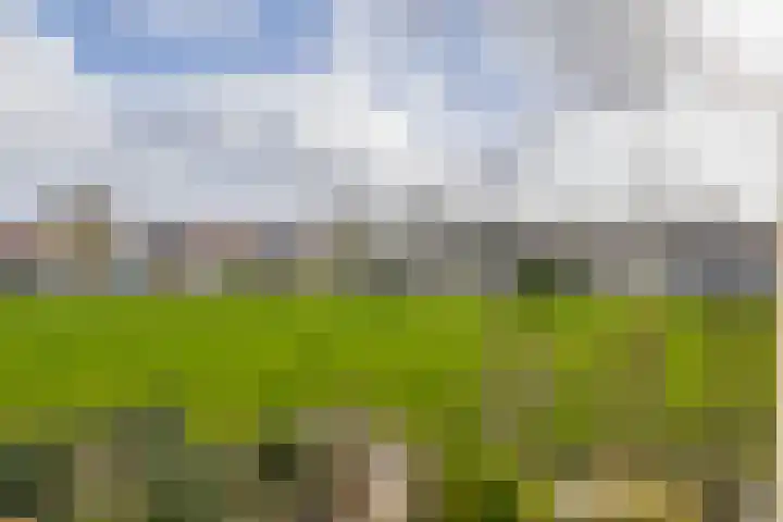 Chopinstraat 7 Lisse thumbnail 50