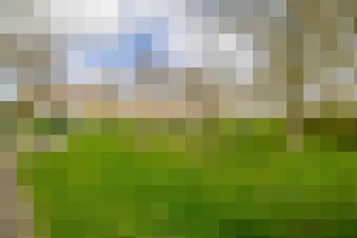 Chopinstraat 7 Lisse thumbnail 51