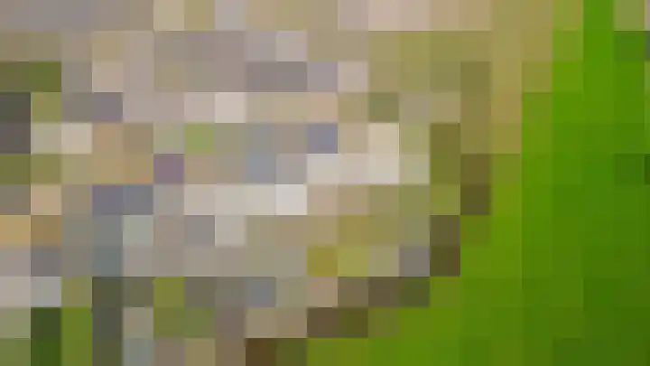 Chopinstraat 7 Lisse thumbnail 55