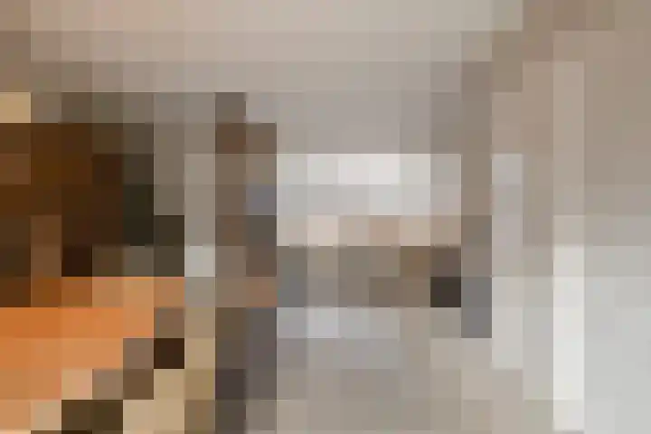 Chopinstraat 7 Losser thumbnail 12