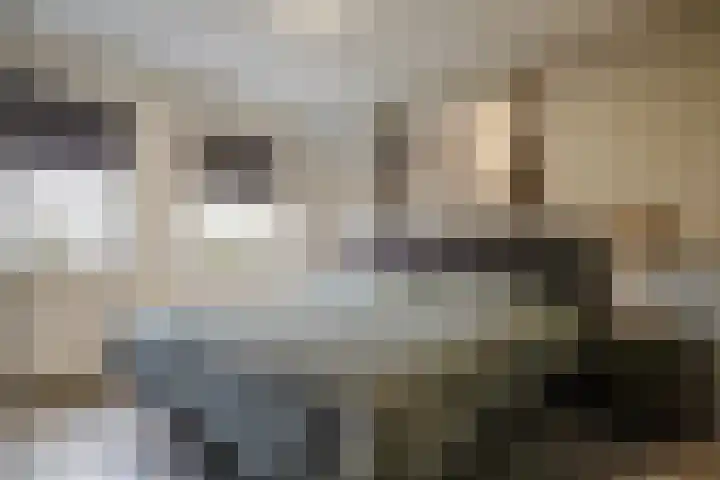 Chopinstraat 7 Losser thumbnail 17
