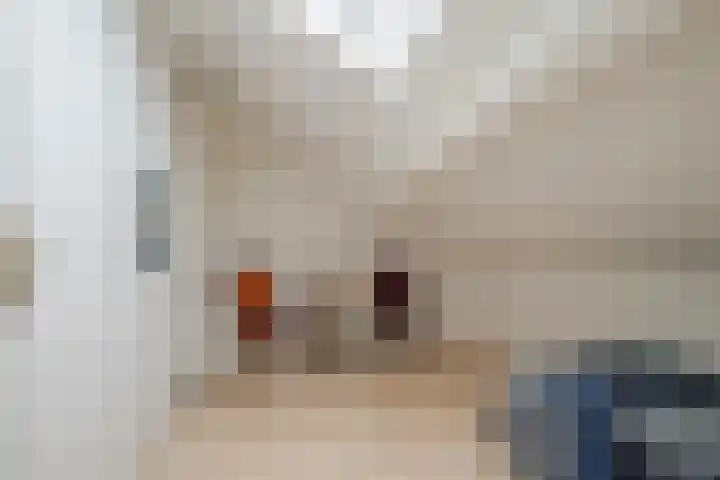 Chopinstraat 7 Losser thumbnail 27