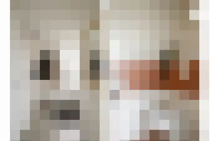 Chopinstraat 7 Losser thumbnail 6