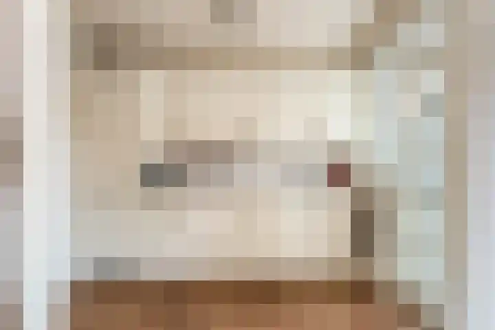 Christinalaan 17 Beusichem thumbnail 6
