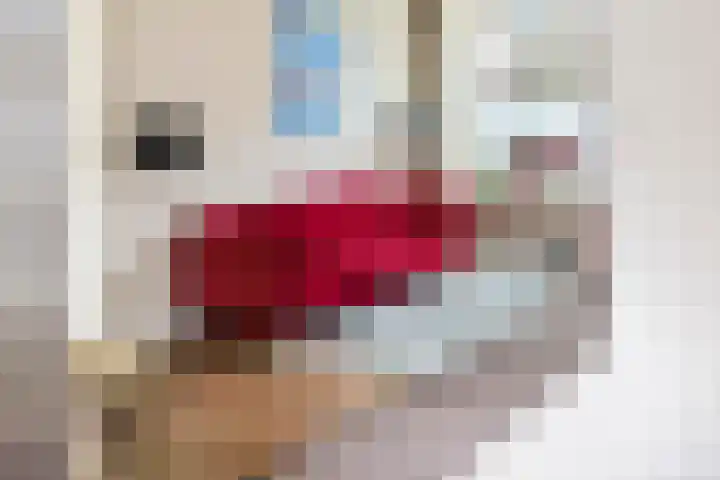 Christinalaan 17 Beusichem thumbnail 8