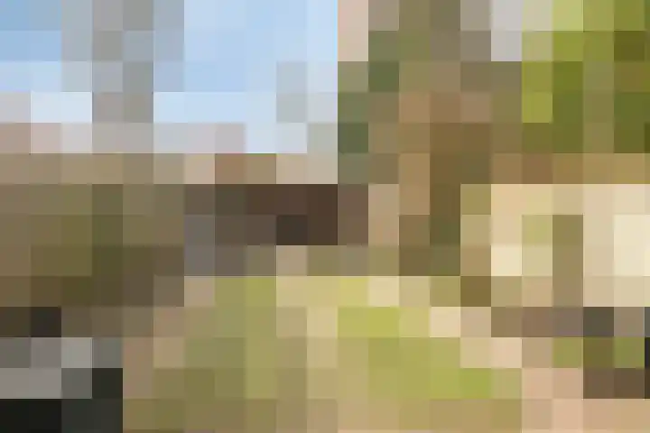 Christinalaan 23 Soest thumbnail 33