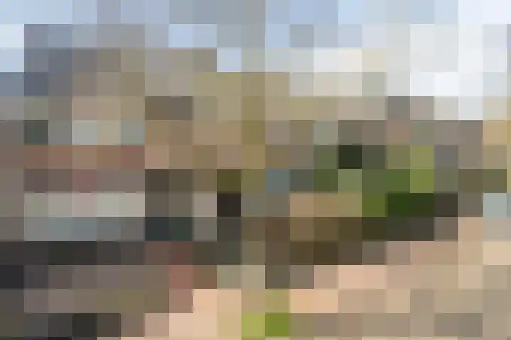 Christinalaan 23 Soest thumbnail 39