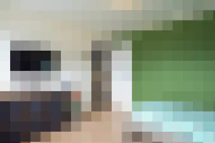 Christinalaan 5 Susteren thumbnail 19