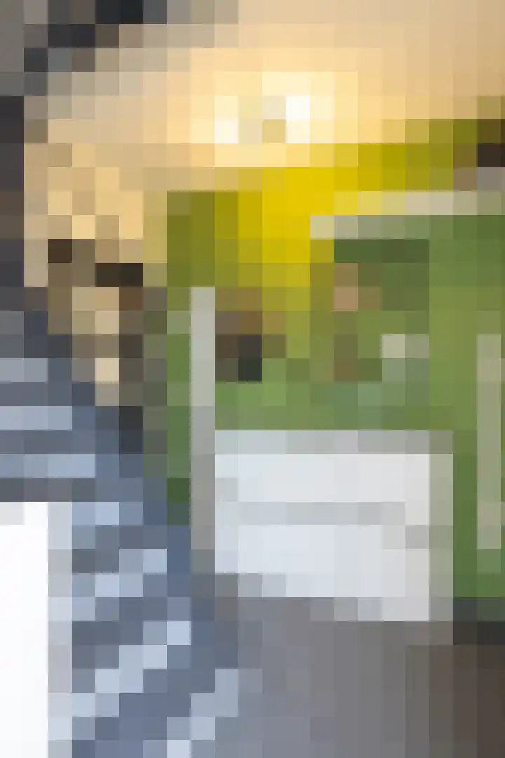 Christinalaan 5 Susteren thumbnail 4