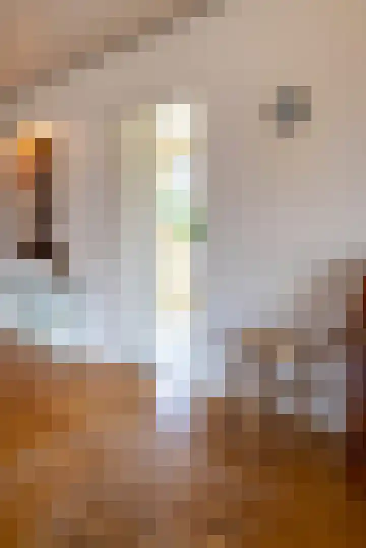Christinalaan 6 Vorden thumbnail 16