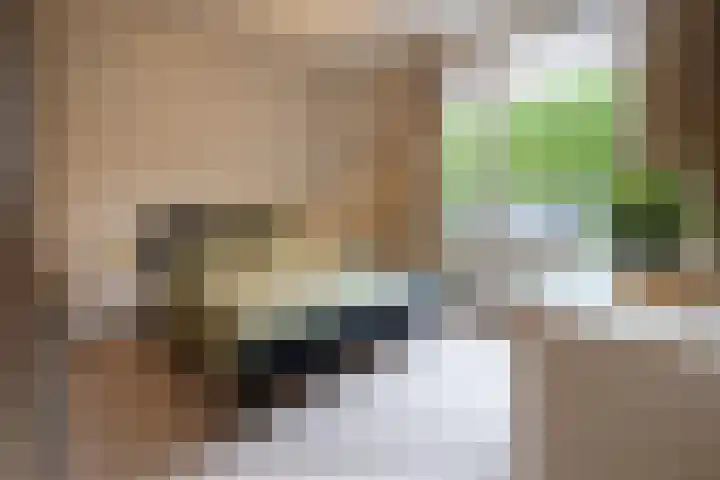 Christinalaan 6 Vorden thumbnail 25