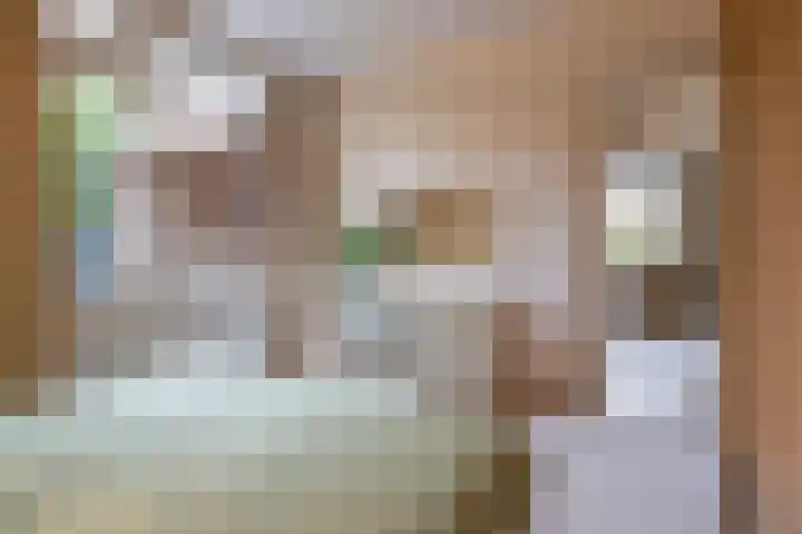 Christinalaan 6 Vorden thumbnail 27