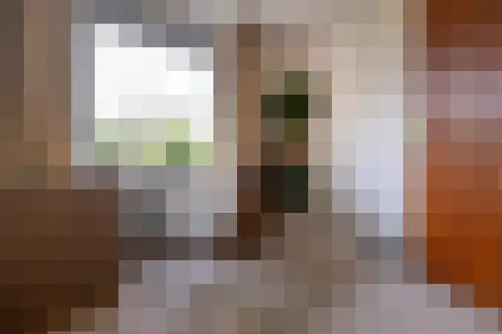 Christinalaan 6 Vorden thumbnail 29