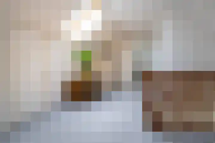 Christinalaan 6 Vorden thumbnail 34