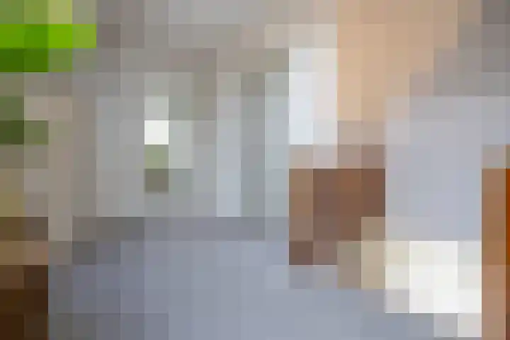 Christinalaan 6 Vorden thumbnail 37