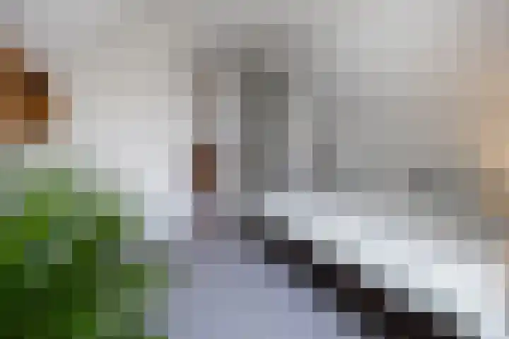 Christinalaan 6 Vorden thumbnail 39