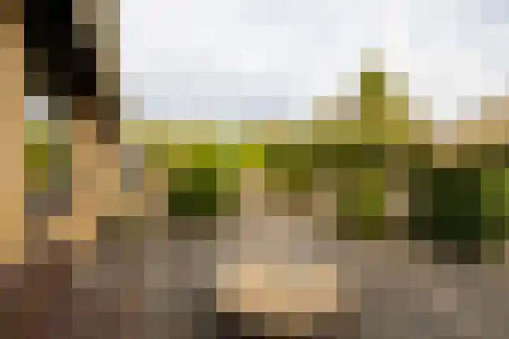 Christinalaan 6 Vorden thumbnail 41