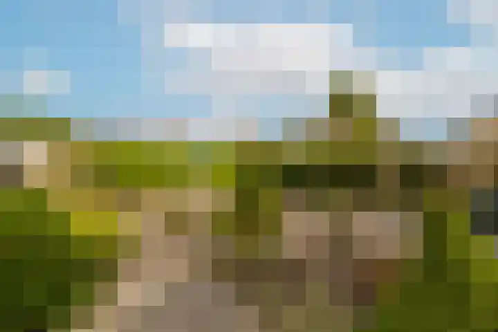 Christinalaan 6 Vorden thumbnail 46
