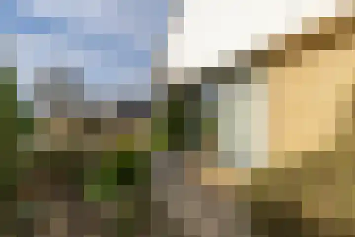 Christinalaan 6 Vorden thumbnail 56