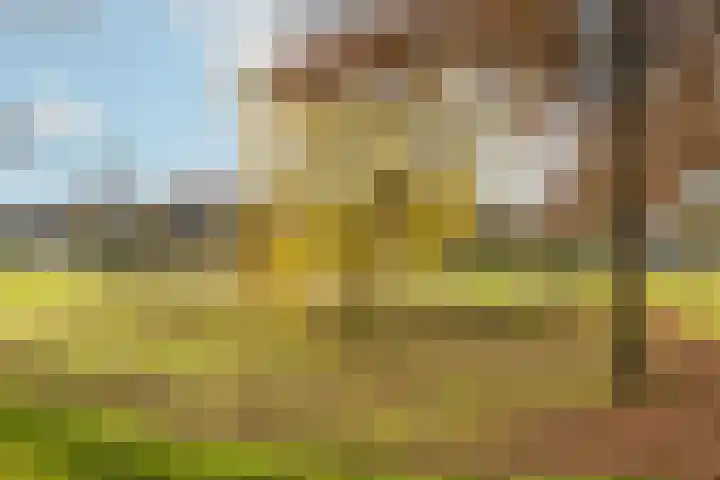 Christinalaan 6 Vorden thumbnail 60
