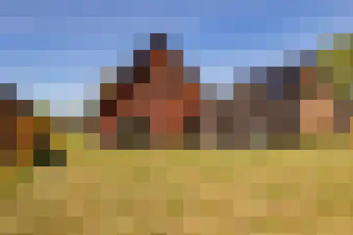 Foto van Christine Wonneberg-Oosterink