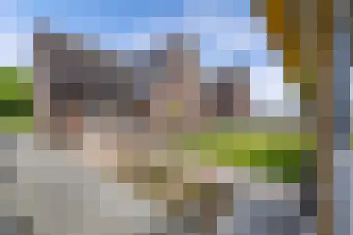 Chrysant 22 Ens foto 2