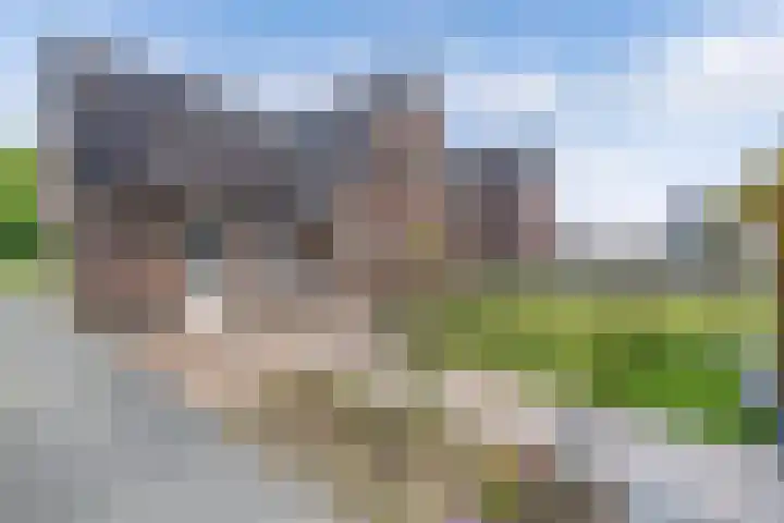 Chrysant 22 Ens thumbnail 25