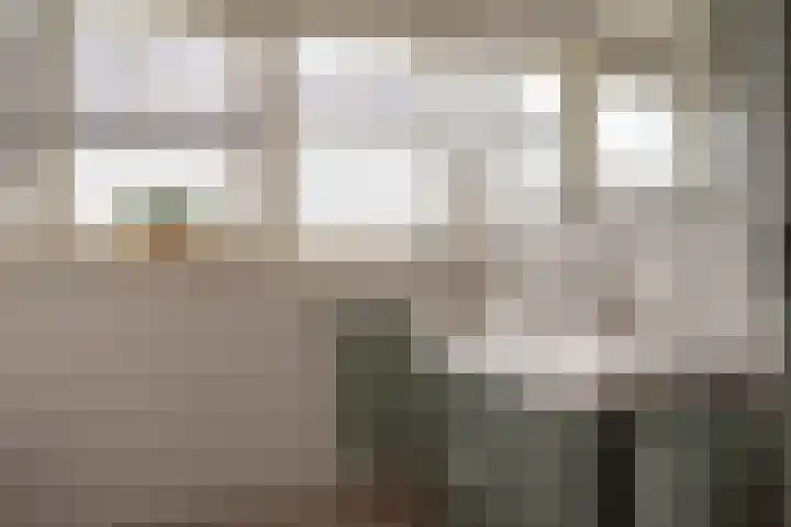 Chrysant 22 Ens thumbnail 37