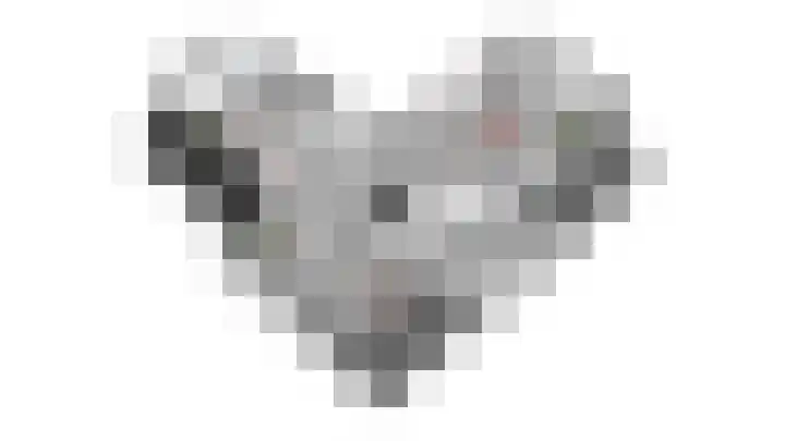 Chrysant 22 Ens thumbnail 52