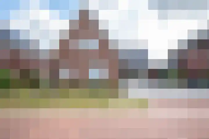 Chrysant 22 Ens thumbnail 7