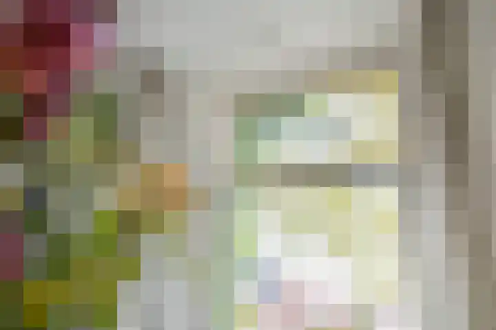 Chrysantstraat 22 Utrecht thumbnail 18