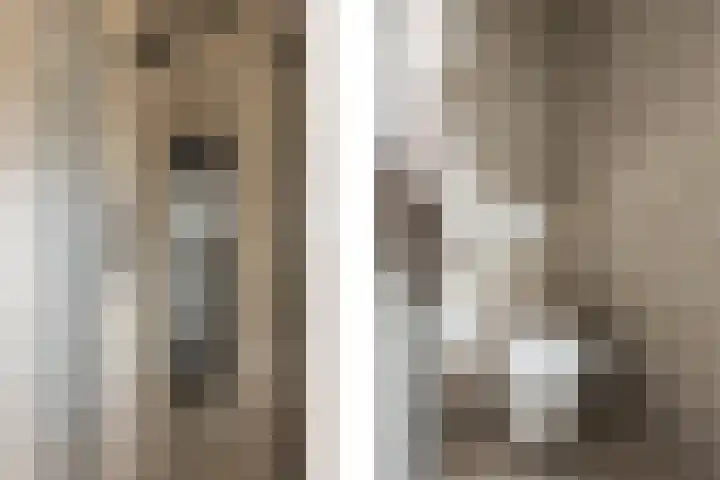 Chrysanttuin 9 Pijnacker thumbnail 25