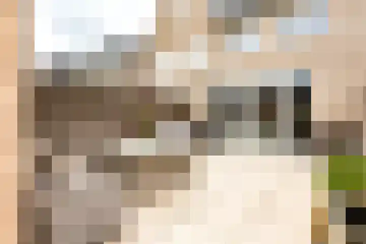 Chrysanttuin 9 Pijnacker thumbnail 29