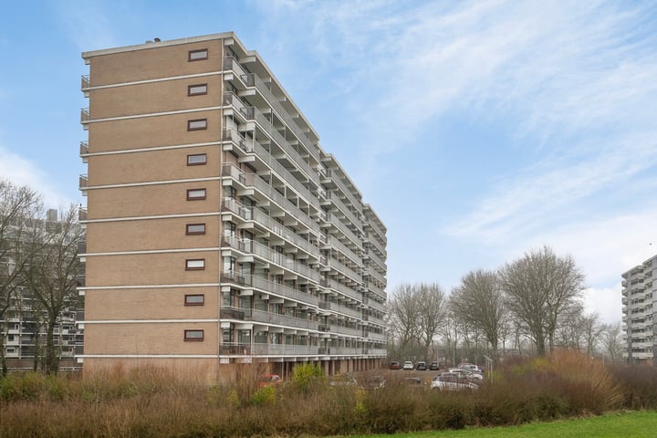 Foto van woning Churchilllaan 1018, Terneuzen