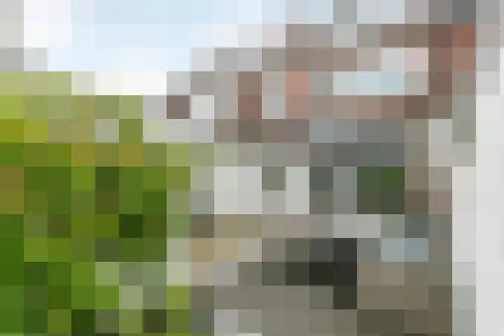 Cicerostraat 32 Heerlen thumbnail 4