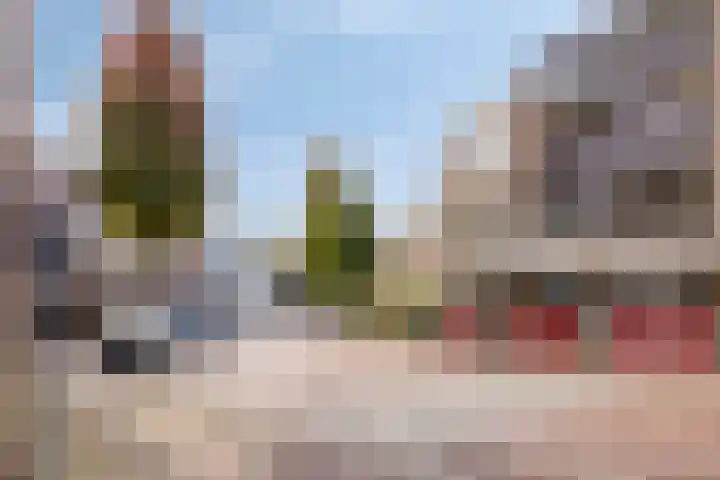 Cieweg 16 Castricum thumbnail 32