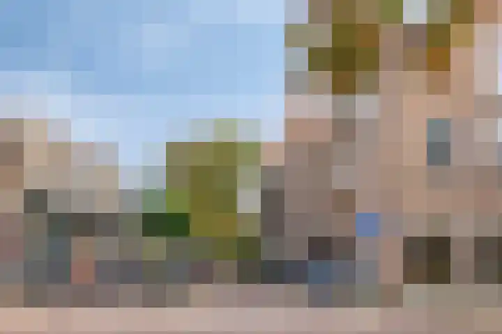 Cieweg 16 Castricum thumbnail 33