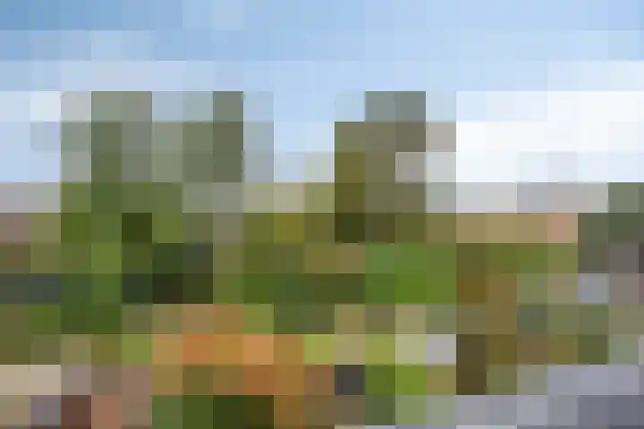 Cieweg 78 Castricum thumbnail 41