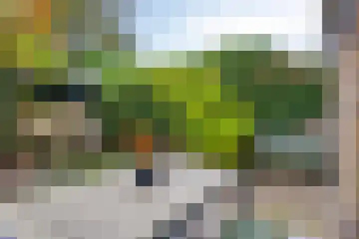 Cieweg 78 Castricum thumbnail 44