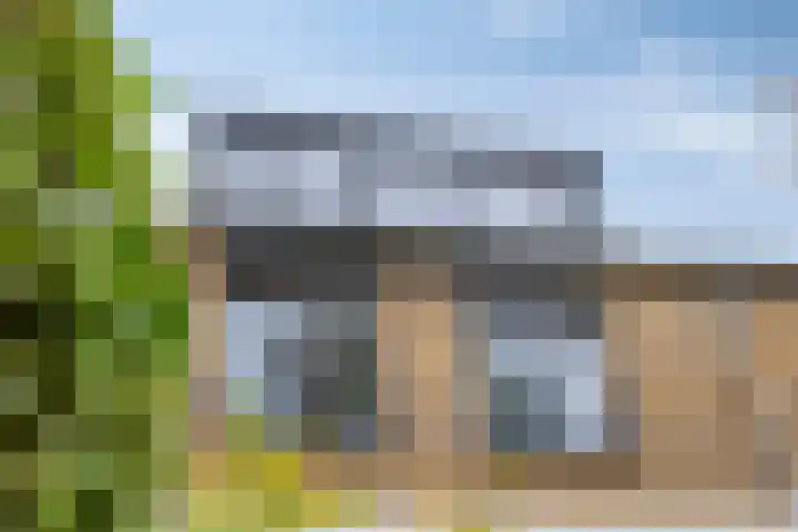 Cieweg 78 Castricum thumbnail 47