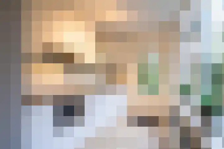 Cijnsbroek 16 Breda thumbnail 13