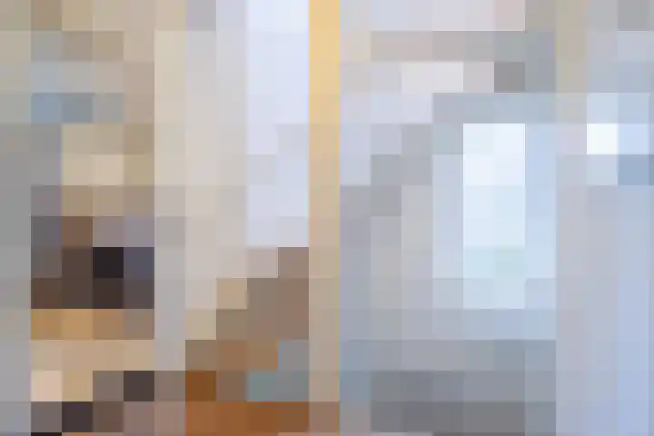 Cijnsbroek 16 Breda thumbnail 20