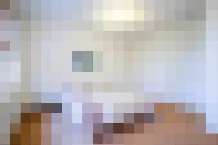 Cijnsbroek 16 Breda thumbnail 22