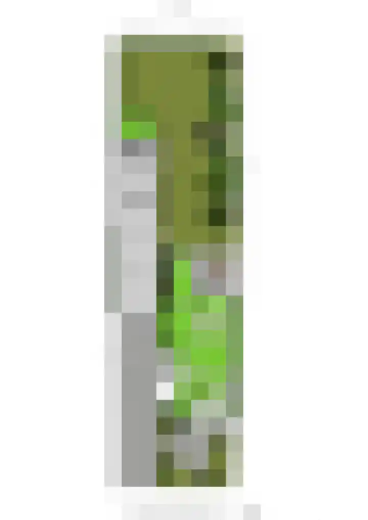 Cijnsbroek 16 Breda thumbnail 37