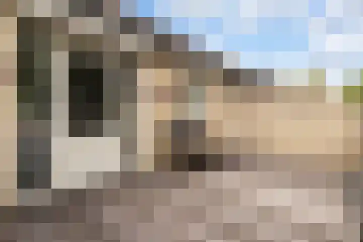 Cimbaalpad 2 Duiven thumbnail 15