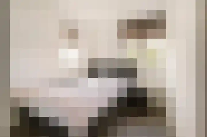 Cimbaalpad 2 Duiven thumbnail 17